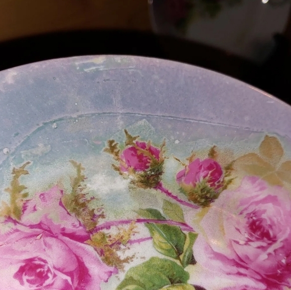 Antique Carl Tielsch (CT) Altwasser of Silesia China Salad Plate Set Lustreware - Picture 6 of 12